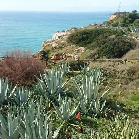 Rui Lejlighed Carvoeiro (Lagoa)